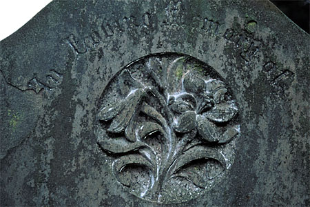 lily symbol